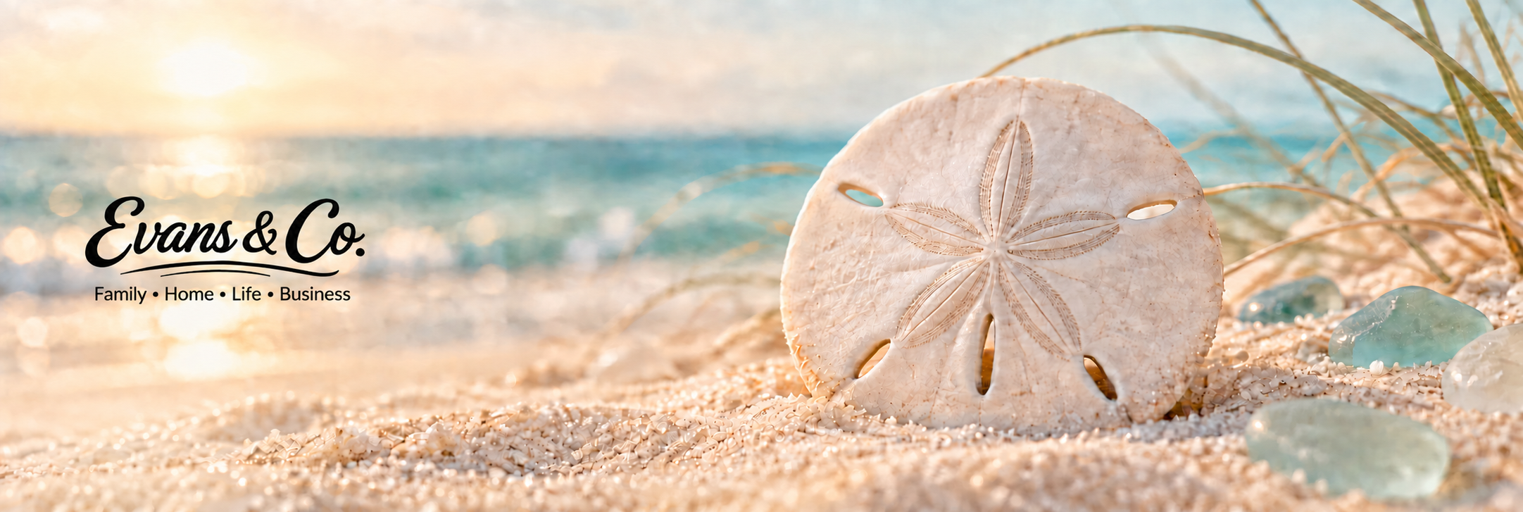 Evans & Co Sand Dollars rewards by the sea