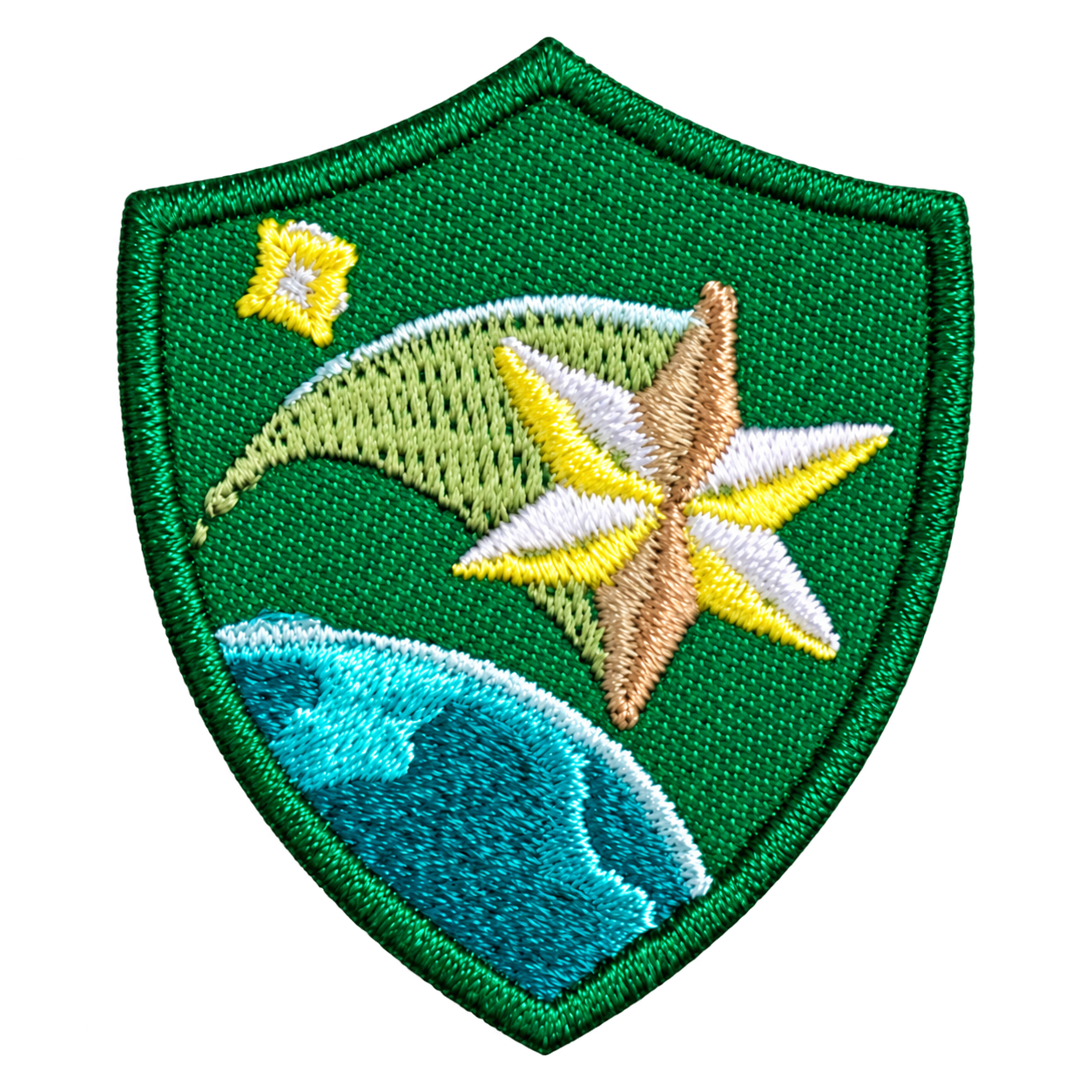 Troop 493 Brownies Shooting Star crest